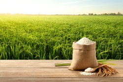 White Rice And Paddy Rice With Rice Plant Background.