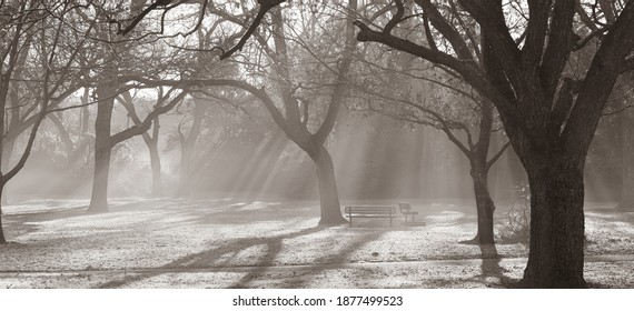 White Rock Lake In The Fog