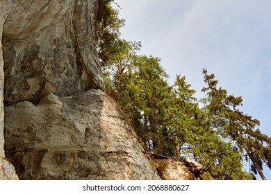A White rock with pine forest on the top. Selective focus. High quality photo