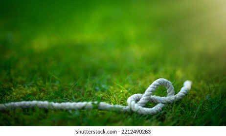 White rope rope on green grass. The ability to knit sea knots. A white sea rope on the ground. - Powered by Shutterstock