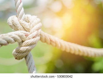 White rope tied in a knot for adventure.
 - Powered by Shutterstock