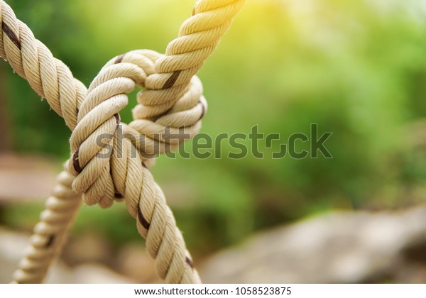 White rope tied in a\
knot for adventure. Close-up of rope knot line tied together with\
bridge background.
