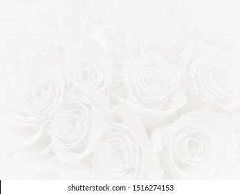 713,291 White roses texture Images, Stock Photos & Vectors | Shutterstock