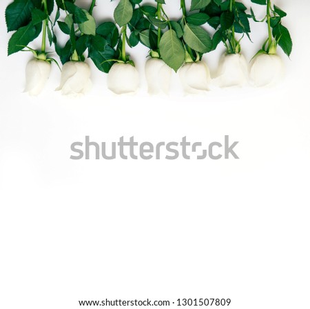 Similar – Flower frame on white background