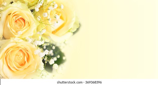 yellow rose flowers background