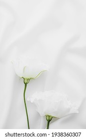 White Rose Flowers On Silk Fabric As Bridal Flatlay Background, Wedding Invitation And Holiday Branding, Flat Lay Design Concept