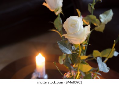 White Rose In Front Of A Candle.