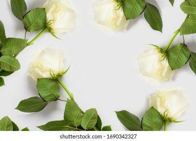 White rose on a white background, with place for text, with copy space. Concept gentle backgrounds with flowers, backgrounds for flower shops, wedding texts, underwear and perfume.