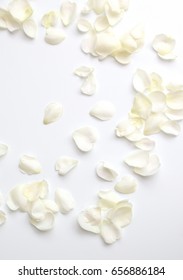 White Rose Petals On White Background.
