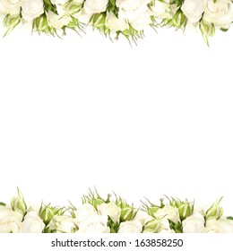 White Roses Border