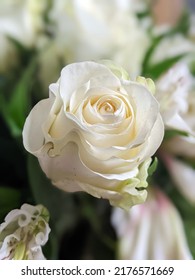 White Roses In A Bouquet With White Flowers