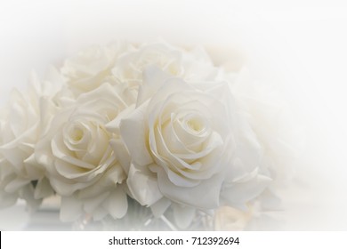 2,646,028 White Rose Background Images, Stock Photos & Vectors ...