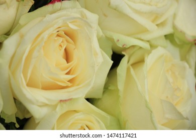 White Rose Centerpiece Images Stock Photos Vectors Shutterstock