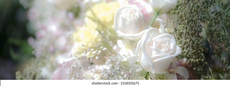 {keywor d} adidas originals pastel rose garden