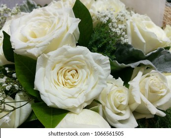 Background White Floral Flower Love Beautiful Nature Valentine Bouquet Rose Beauty Closeup Fresh Holiday Celebration Day Red Gift Romantic Romance Blossom Petal Wedding Anniversary Roses Flowers Color Natural Enter New Keyw Images,What Is The Best Color For Dark Brown Hair