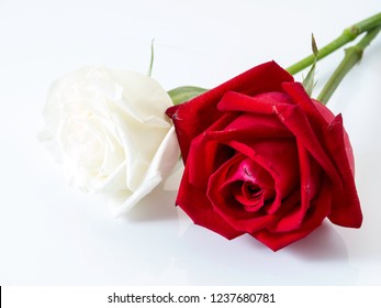 Similar Images Stock Photos Vectors Of Hand Tied Bouquet Of Fire And Ice Roses Shutterstock