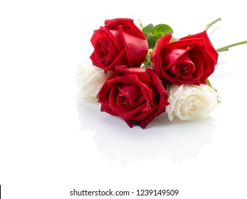 red white rose pictures