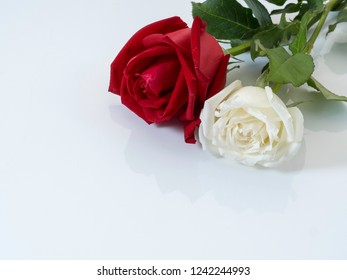 Similar Images Stock Photos Vectors Of Hand Tied Bouquet Of Fire And Ice Roses Shutterstock