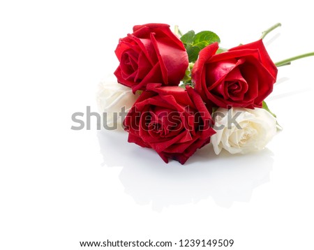 White roses with red roses on white background, love symbol