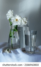 White Roses In Tall Glass Vase Amid Sun Rays On Wall