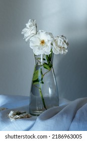 White Roses In Tall Glass Vase Amid Sun Rays On Wall