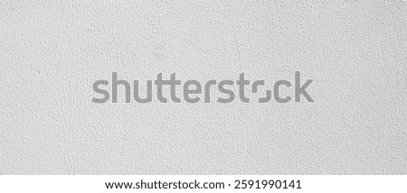 White rough plaster facade texture background banner panorama	