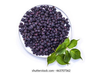 White Round Plate Of Blackberries And Green Blackberry Leaves Isolated On White Background. Dish With Berries Fruit And Foliage Top View Close-up.