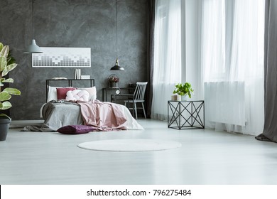 White Round Rug Near Bed With Pink Bedding And Plant On Table In Grey Bedroom Interior With Poster On Dark Wall