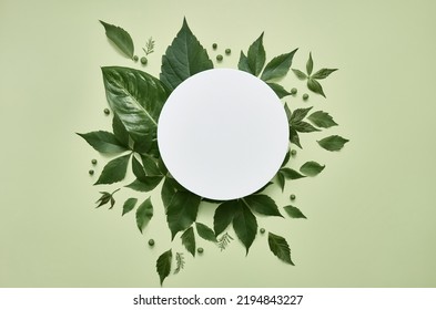 White round template podium mockup natural organic cosmetic product presentation advertisement with green fresh leaves nature frame flat lay background trendy stylish minimalist flatlay backdrop. - Shutterstock ID 2194843227