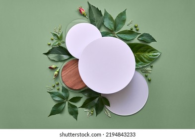 White round template podium mockup natural organic cosmetic product presentation promo with green leaves flowers nature frame flat lay background trendy stylish minimalist flatlay backdrop.