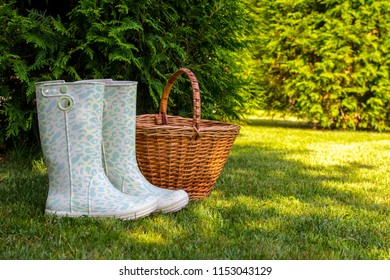 White rubber boots and wicker basket stand on green glade in sunny summer forest.