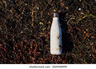 White Rusty Stainless Steel Drinking Bottle On A Red Sea Weed. Pollution And Damage To Environment Concept.