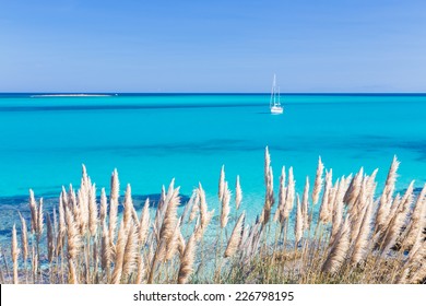 White sail boat at the beautiful turquoise blue mediterranean Pelosa beach near Stintino, Sardinia, Italy.