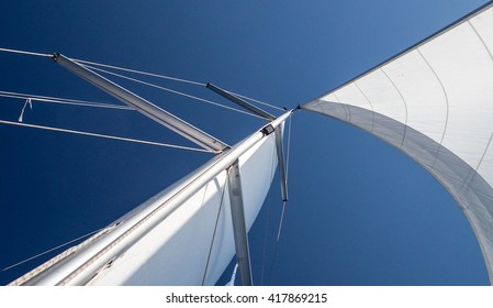 White Sails On A Blue Sky