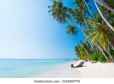 White Sand Beach With Coconut Palm Trees Turquoise Blue Water Coral Reef, Tropical Travel Destination, Desert Beach No People - Banyak Islands, Sumatra, Indonesia