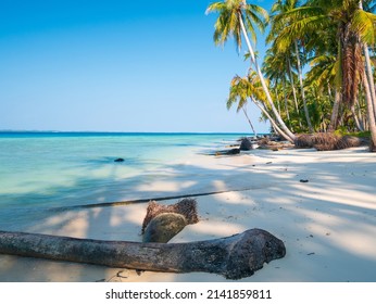 White Sand Beach With Coconut Palm Trees Turquoise Blue Water Coral Reef, Tropical Travel Destination, Desert Beach No People - Banyak Islands, Sumatra, Indonesia