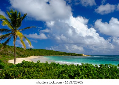 White Sand Beach In Half Moon Bay, Anticua