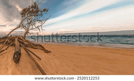 Similar – Image, Stock Photo Baltic Sea coast in Poland