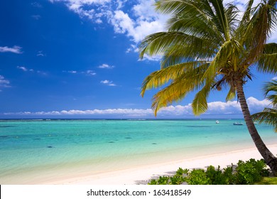 Ile Maurice High Res Stock Images Shutterstock Ile Maurice High Res Stock Images Shutterstock