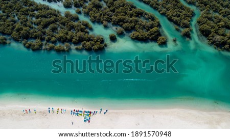 White sand beach on a sunny winter day lined with kayaks on one side and mangrove forests on another. 