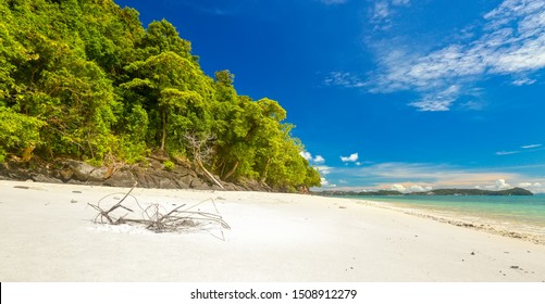White sand beach on a tropical uninhabitant  island in the Thai Tarutao archipelago in the Andaman Sea. Palm tree in the jungle on the island of Adang Ra Wi near Lipe. Asian landscape with blue sky - Shutterstock ID 1508912279