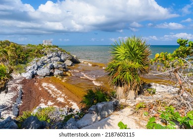 White sand beach with rocks and seaweeds, Mayan Ruins in Tulum, Riviera Maya, Yucatan, Caribbean Sea, Mexico.