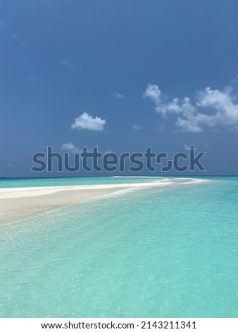 White sand and clear water on a sandbank on the Maldives in the Indian Ocean