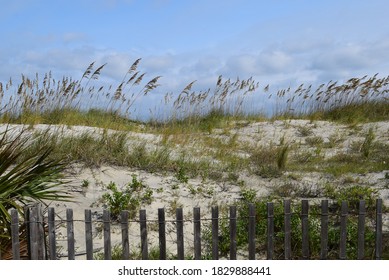 White Sand Dunes At The Beach By A Rustic Fence With Sea Grass Waving Against A Background Of Sunny Blue Sky