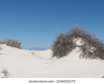 white sand dunes with grass growing - Powered by Shutterstock