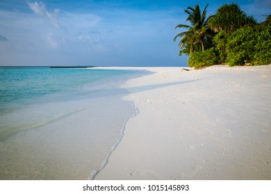 White sand. Maldivial trip.