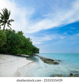 White sand sea beach, summer tropical landscape with coconut palm trees and turquoise water round waves, ripples in water. Calm empty beach scenery with wind in leaves, shoreline, blue sky with clouds - Powered by Shutterstock