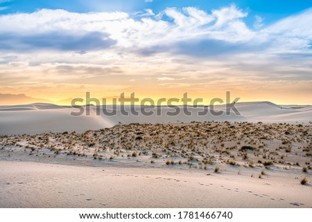 White sands national monument hills of gypsum sand dunes and shrubs plants in New Mexico with Organ mountains on horizon during colorful yellow sunset