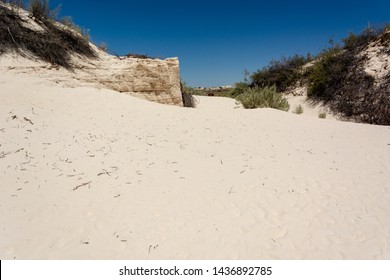 White Sands National Monument, New Mexico, USA. Dune Life Nature Trail / May 24, 2019: Northern Chihuahuan Desert. Known For Its Dramatic Landscape Of Rare White Gypsum Sand Dunes.