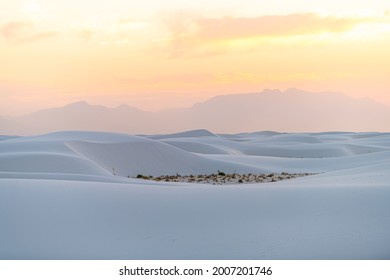 White sands national monument park hills of gypsum sand dunes and plants in New Mexico with Organ mountains silhouette on horizon during colorful yellow sunset